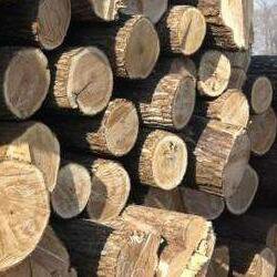優質木材